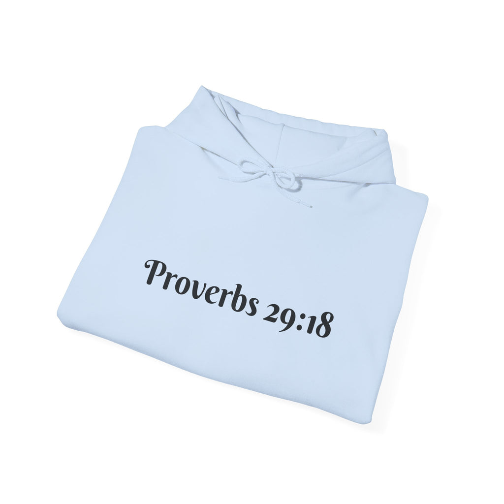 Vision Roots faith hoodie in Light Blue — Proverbs 29:18 unisex hoodie