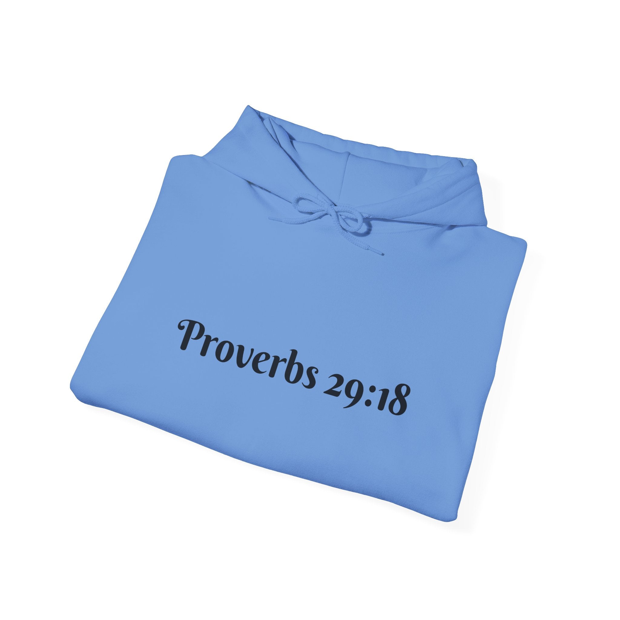 Vision Roots faith hoodie in Blue — Proverbs 29:18 unisex hoodie