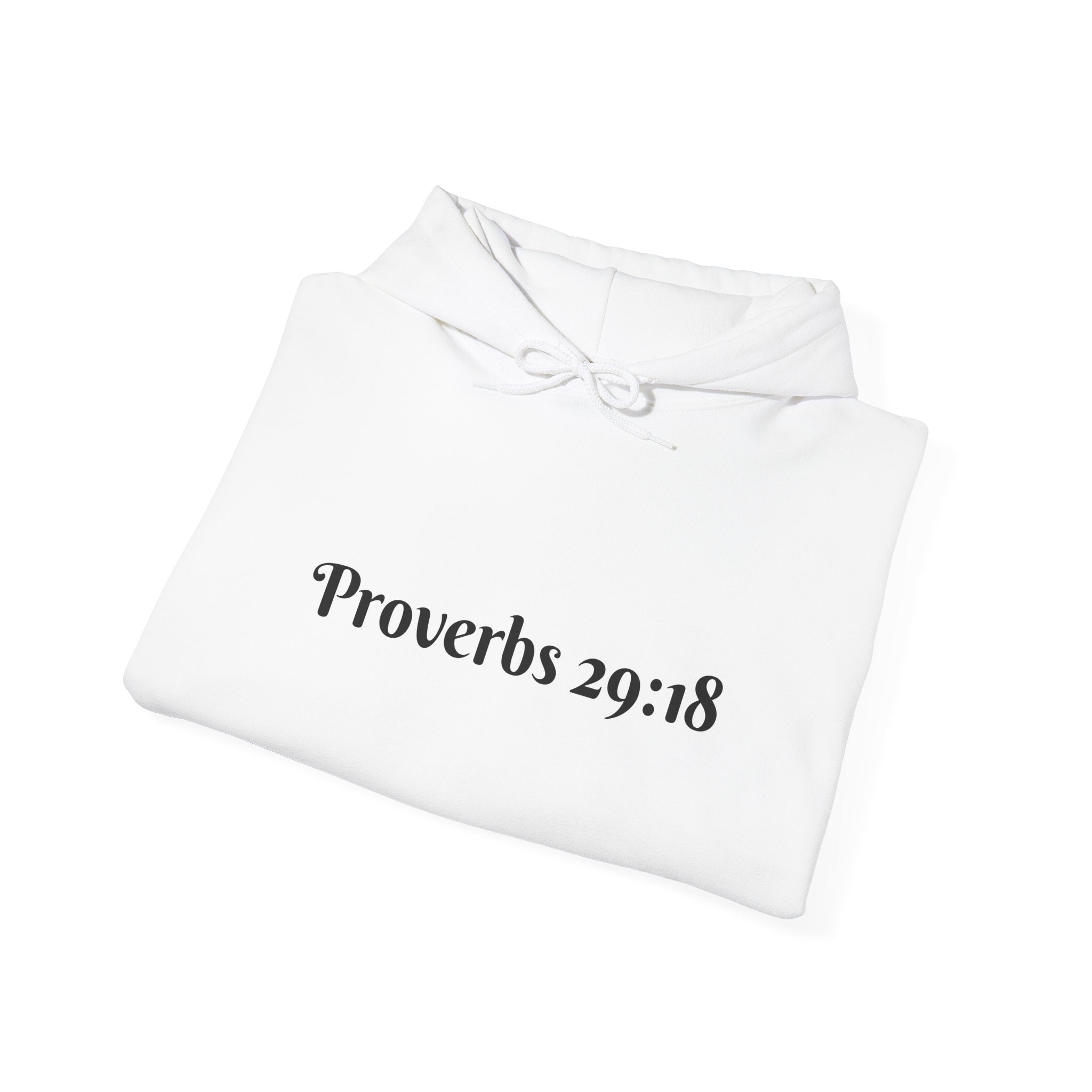 Vision Roots faith hoodie in White — Proverbs 29:18 unisex hoodie