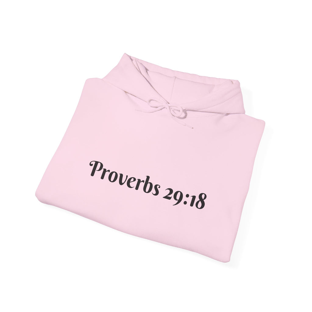 Vision Roots faith hoodie in Pink — Proverbs 29:18 unisex hoodie