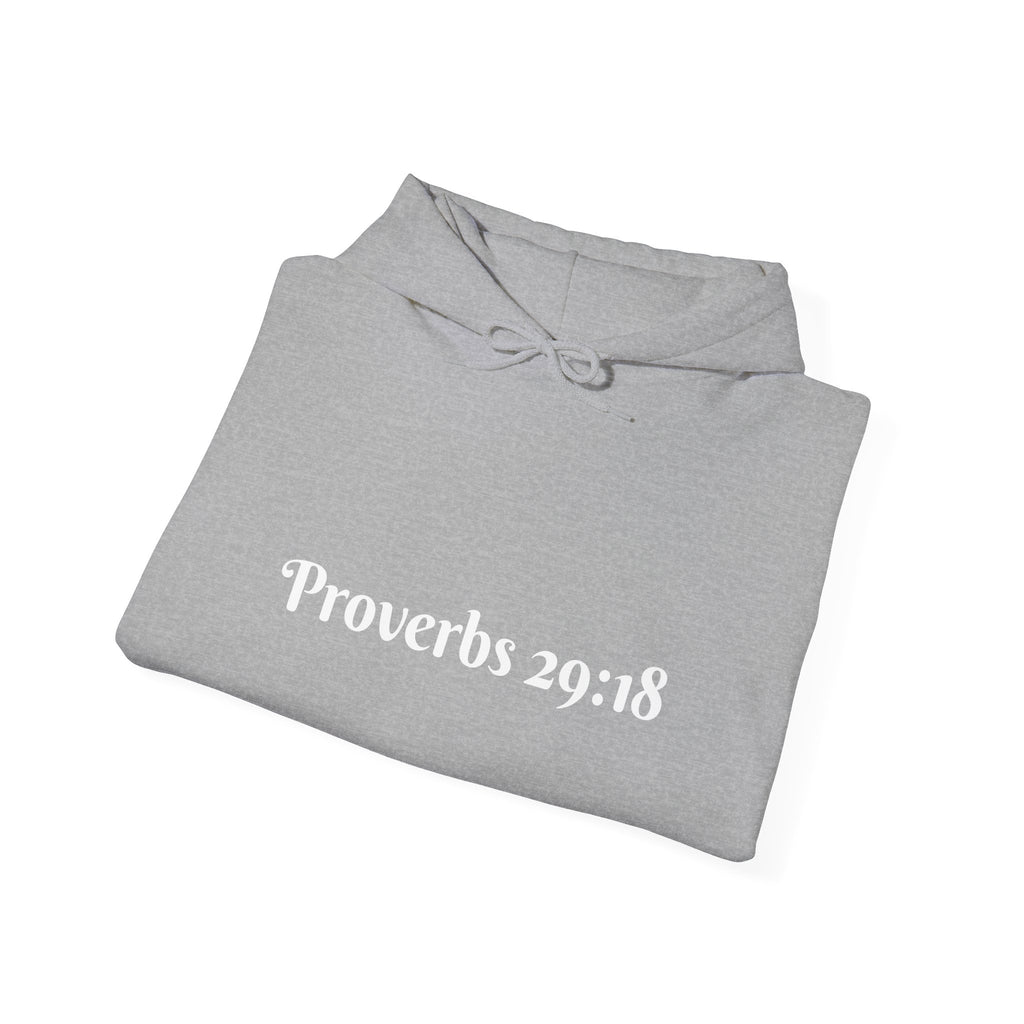 Vision Roots faith hoodie in Grey — Proverbs 29:18 unisex hoodie