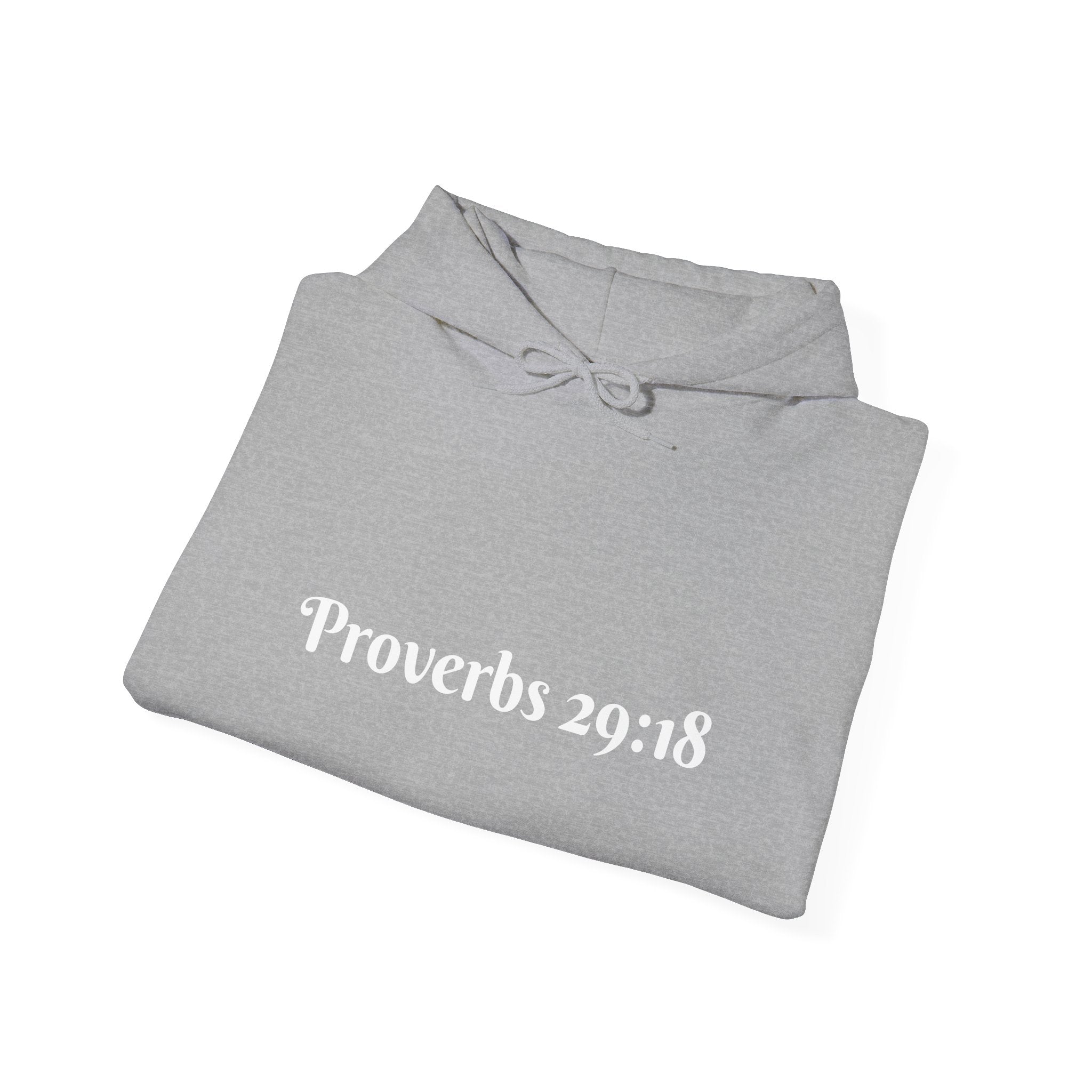 Vision Roots faith hoodie in Grey — Proverbs 29:18 unisex hoodie